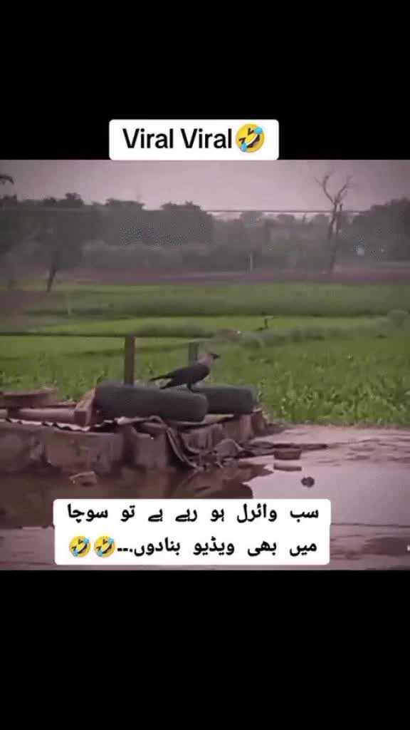 @Ch.ABDULLAH