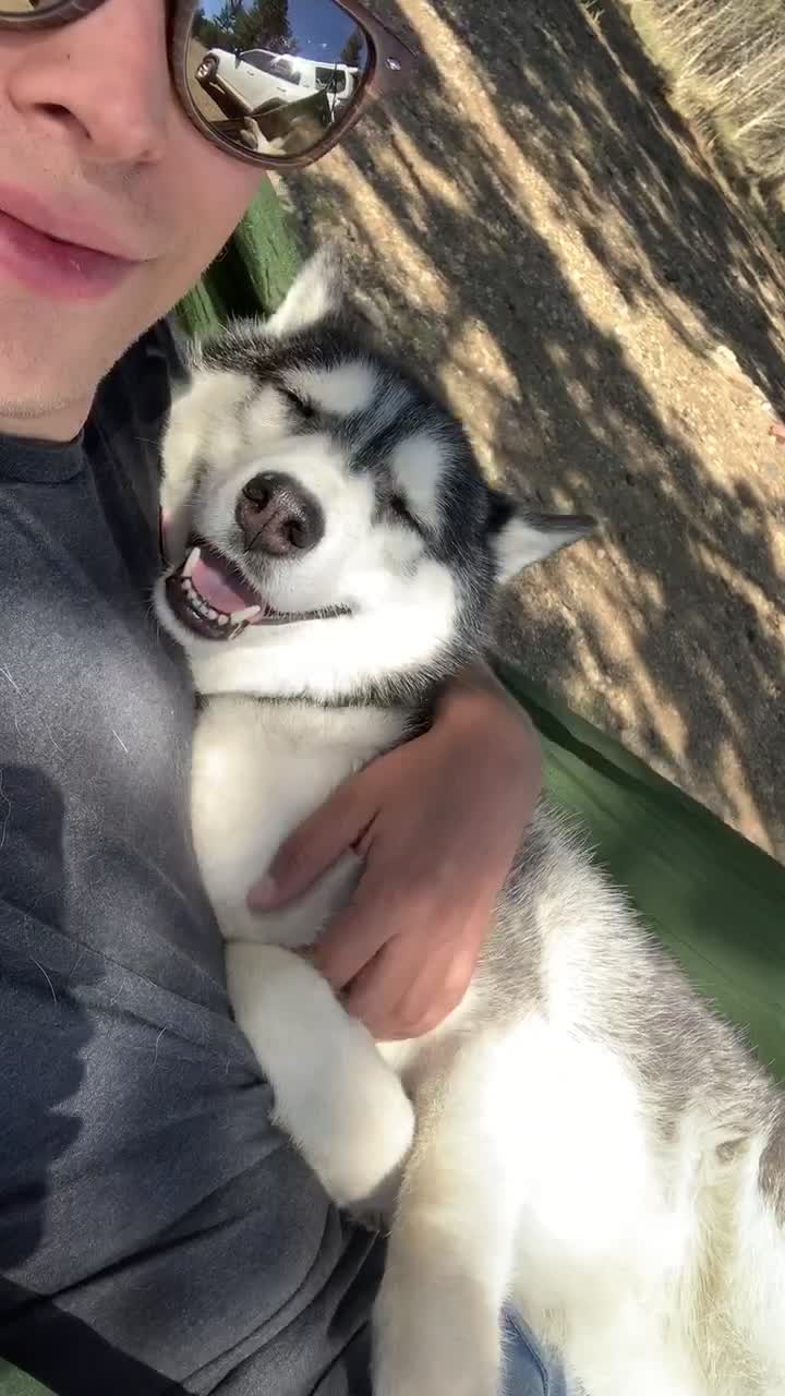 @coloradohuskies