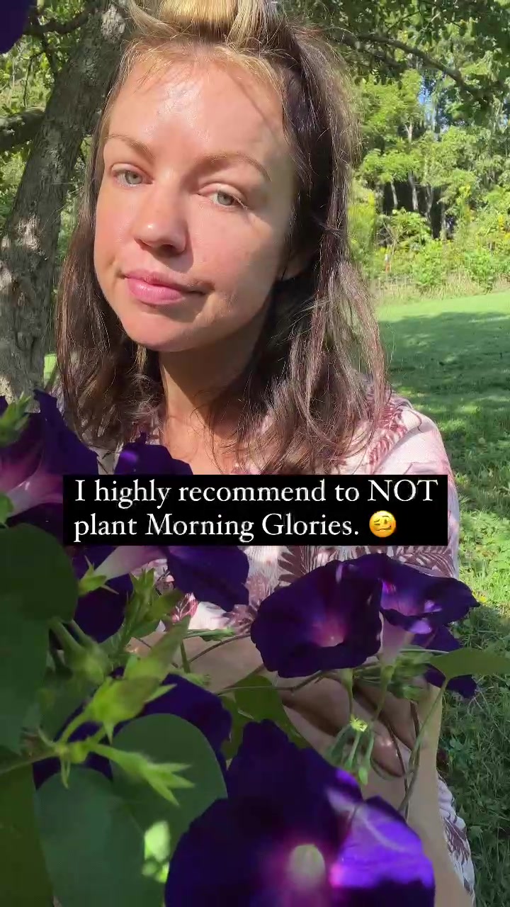 @carolelylewhite