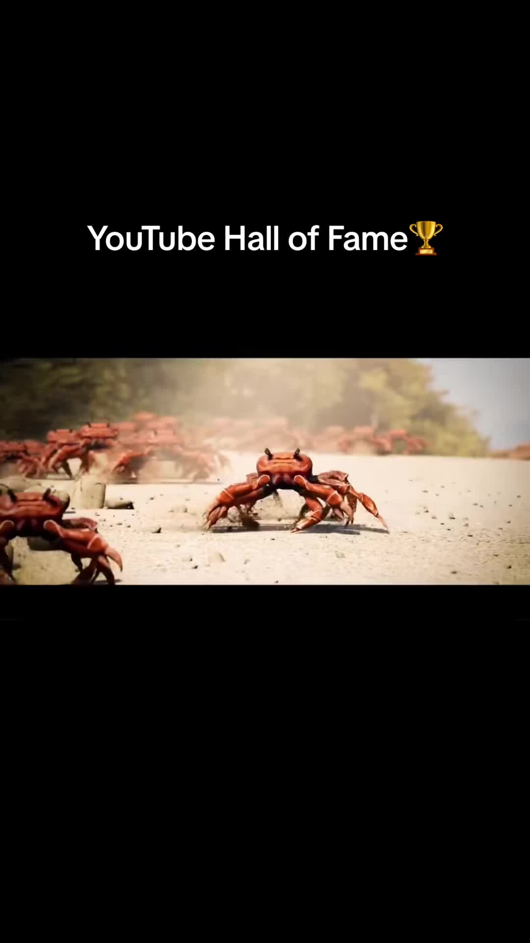 @YouTube Hall of Fame