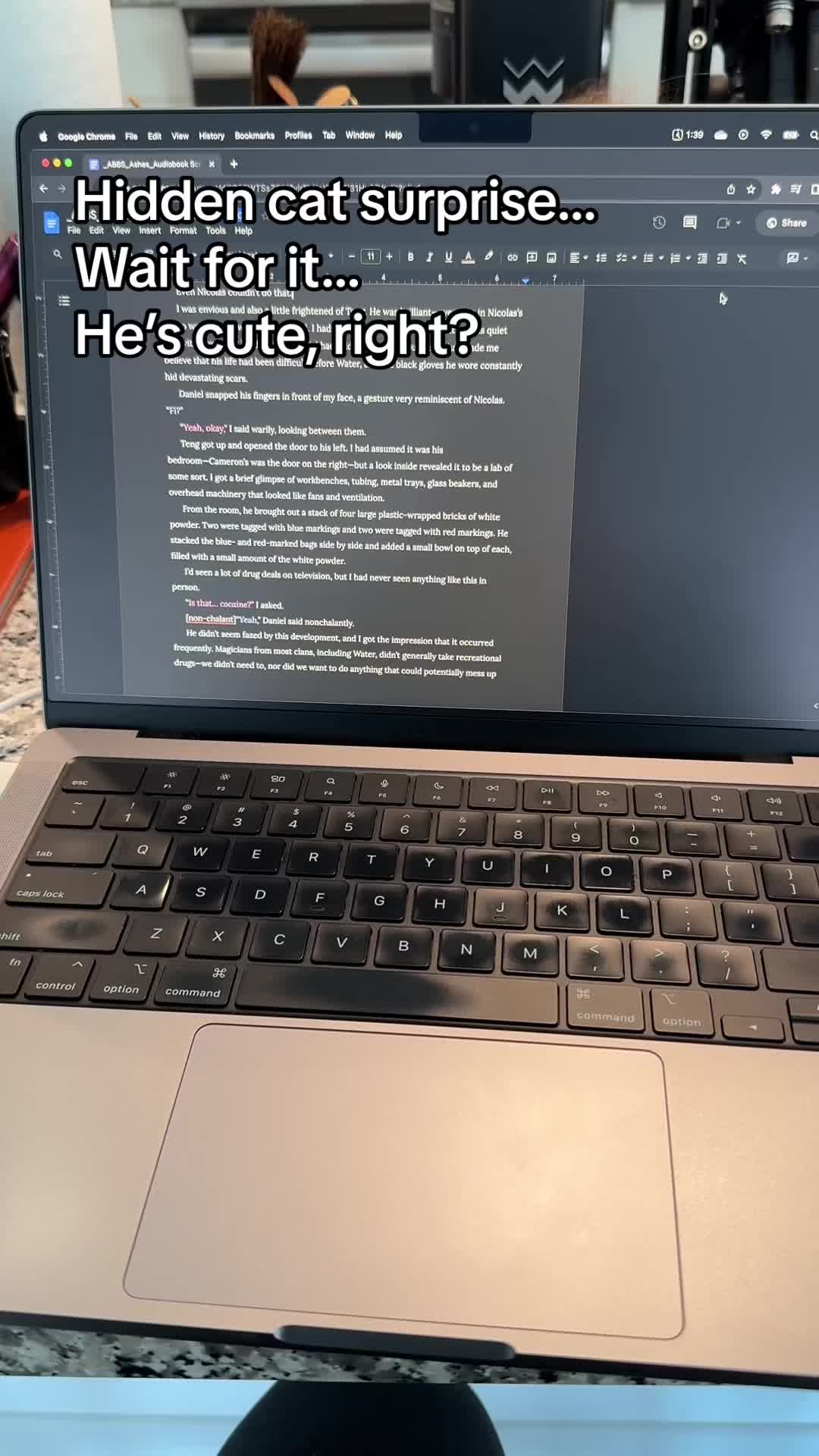 @Ella M Lee | Author