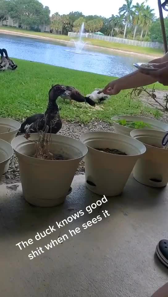 @Kaleb_is_i