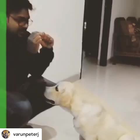 @Varun Peter Jaladi