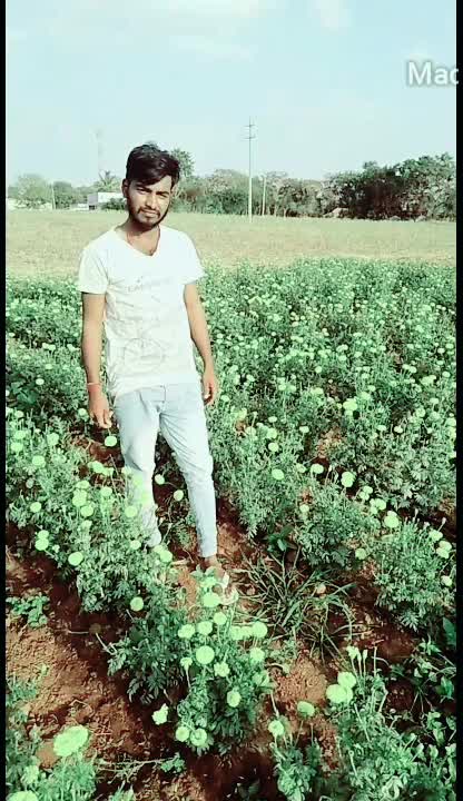 @supremesanthu