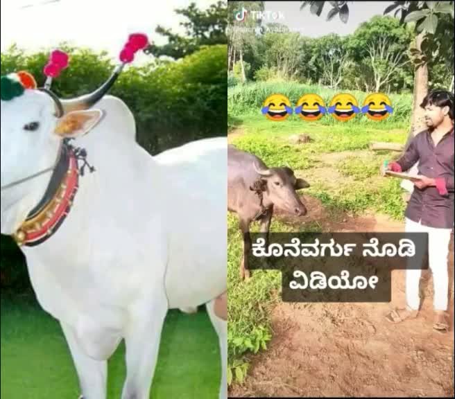 @sangappa48