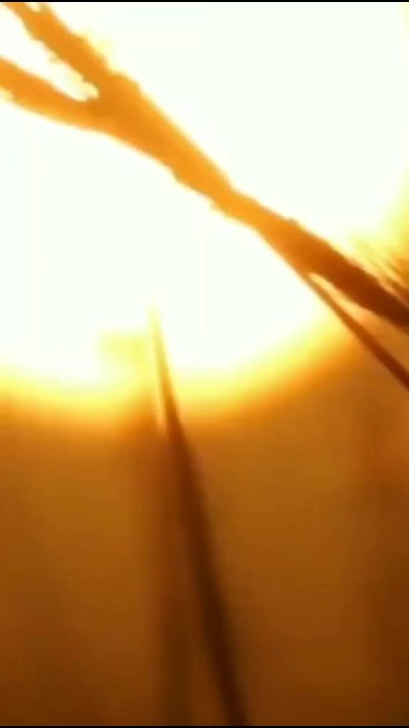 @😈Ãmît😈