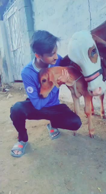 @Muhammad Wasi Khan