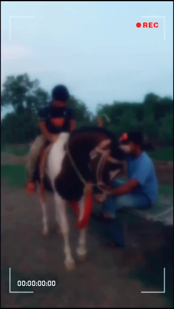 @Kapil Thakar