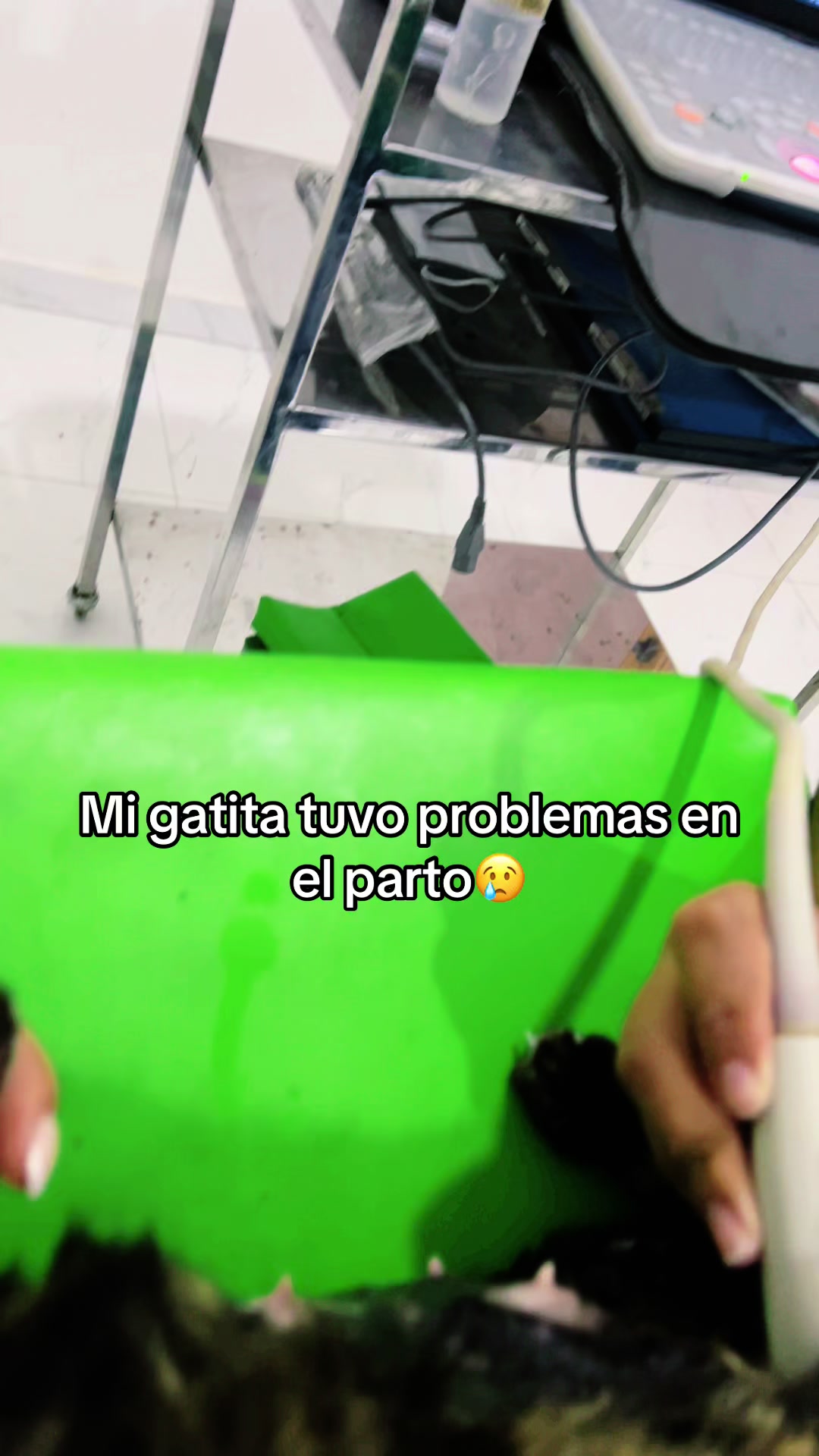 @Fabiana Terrazas Su&aacute;rez