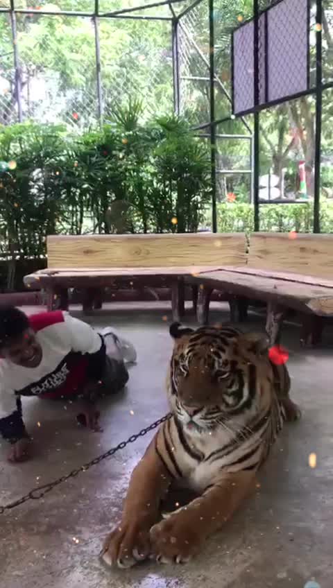 @Kiran Chandra