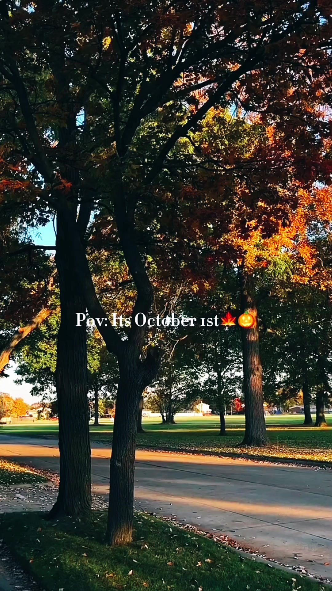 @ffallxmas