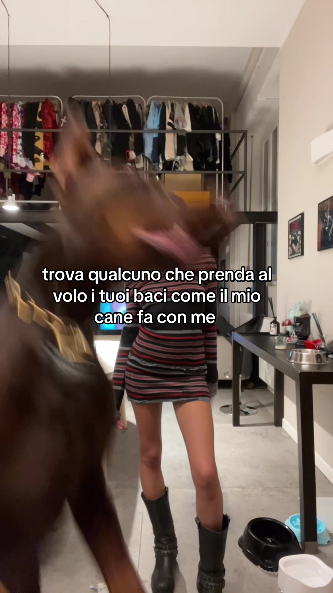 @butterflixstella