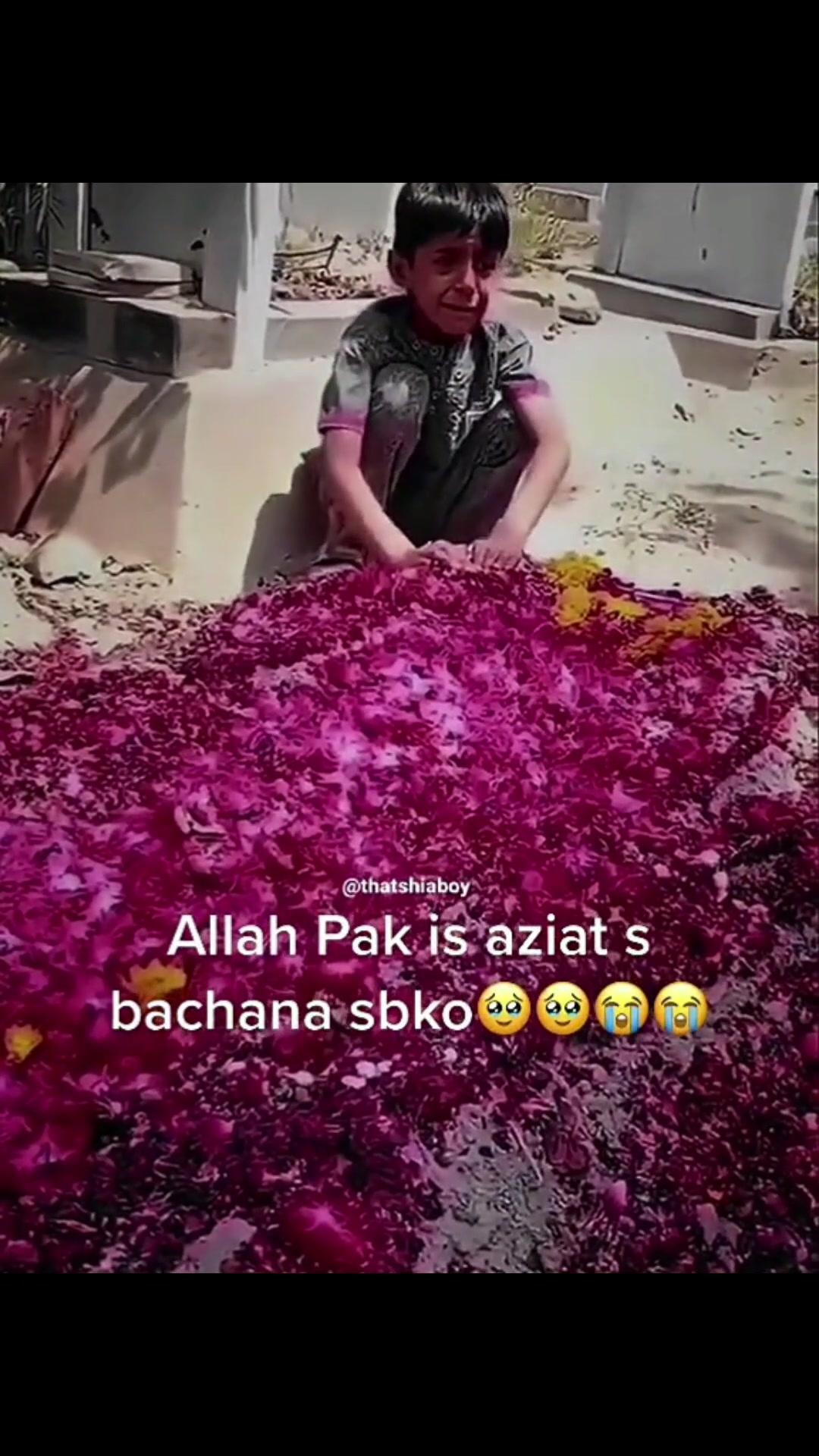 @Toto.Pk