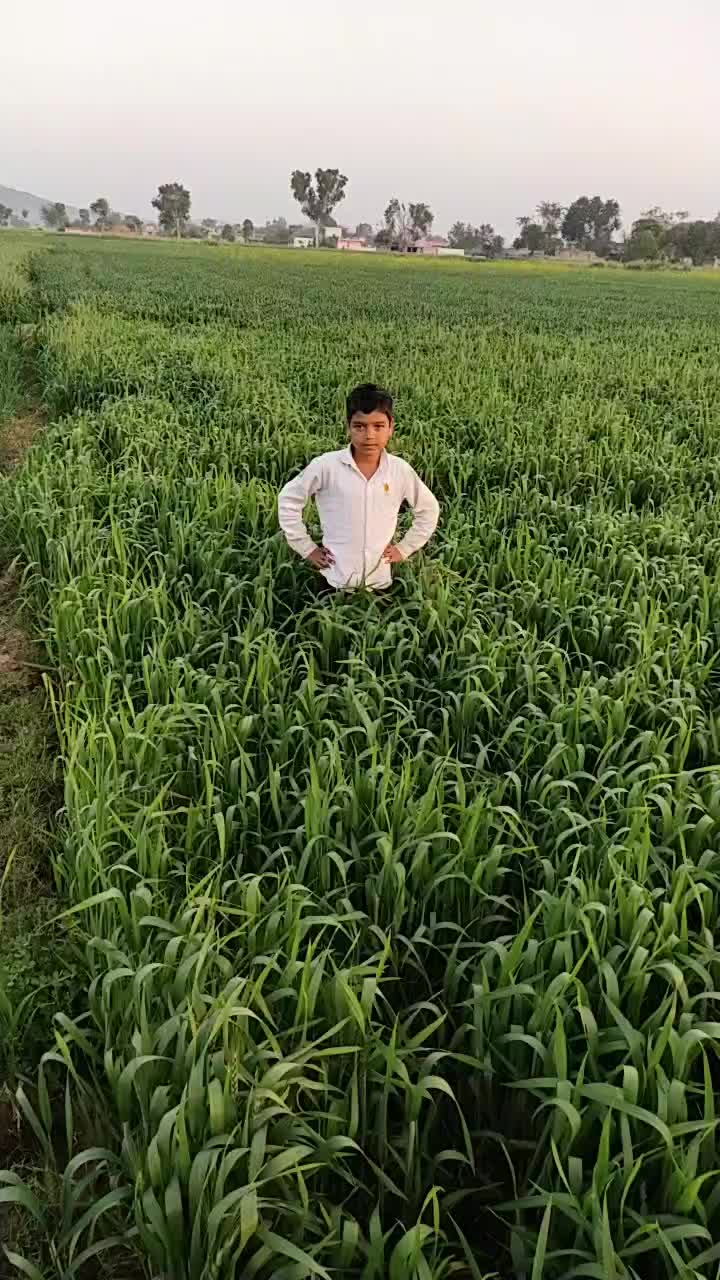 @rihan Malik