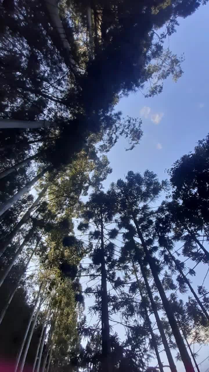 @...