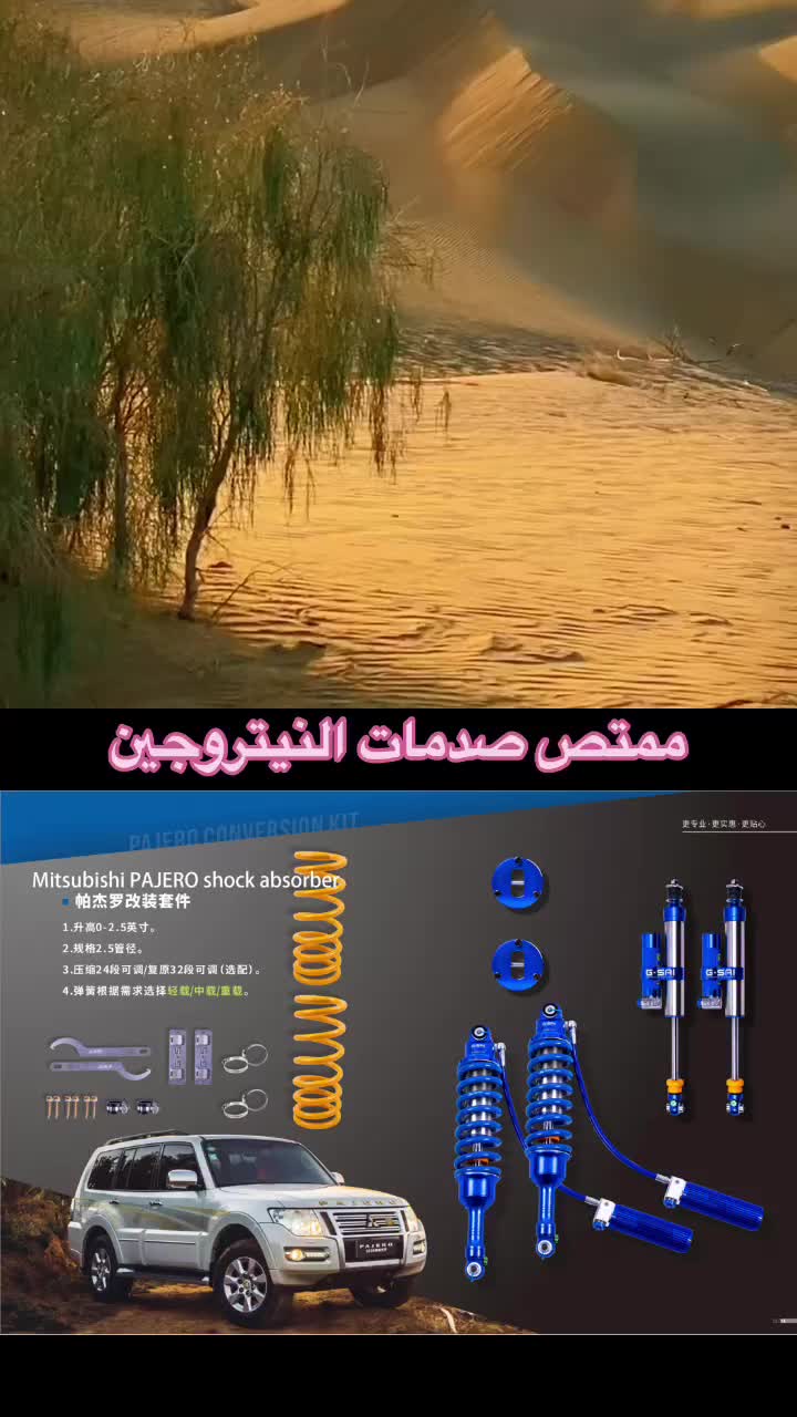 @chineseautoexports