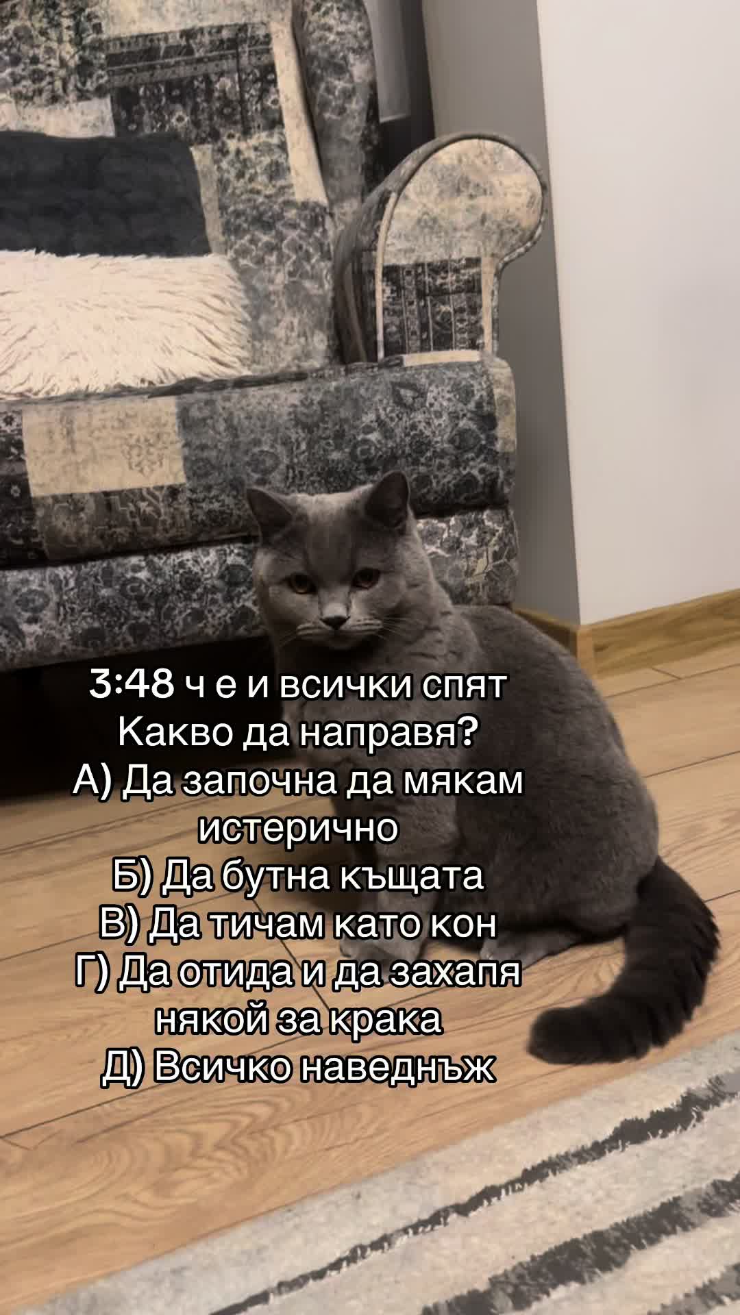 @ANNA NIKOLOVA🐆