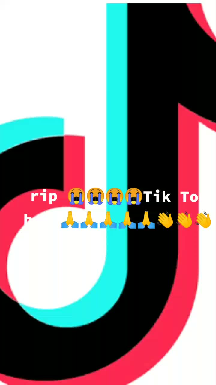 @user5399066661512