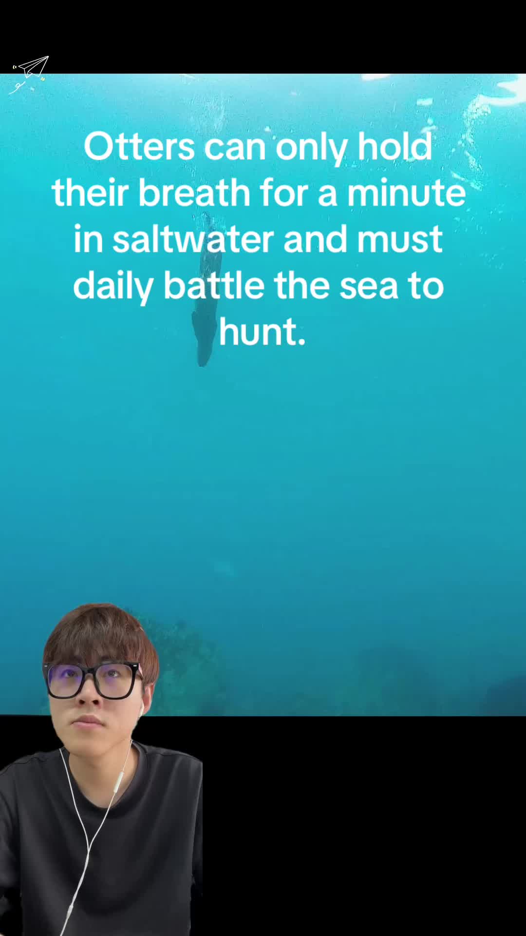 @aboutanimals