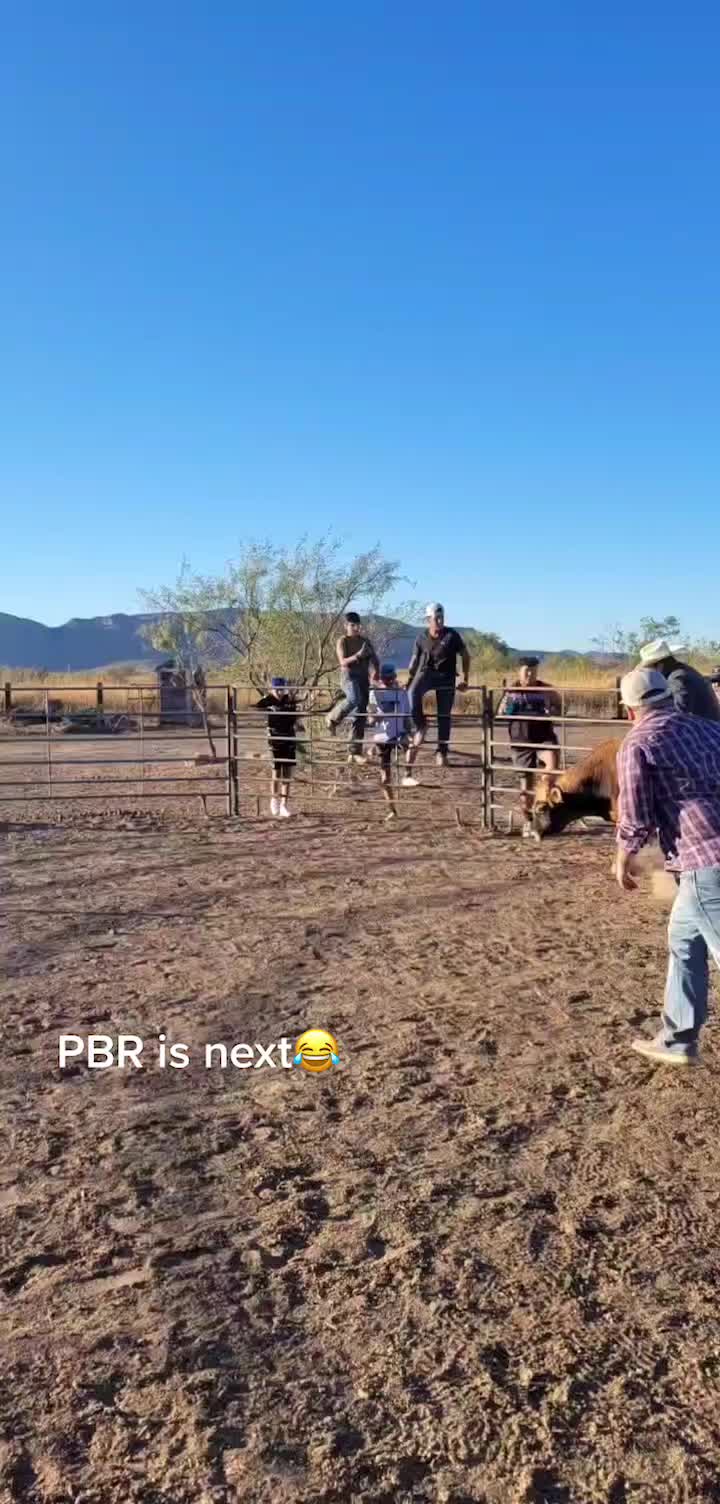 @just_roman_around_