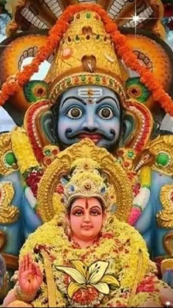 @vijayvijju 5626