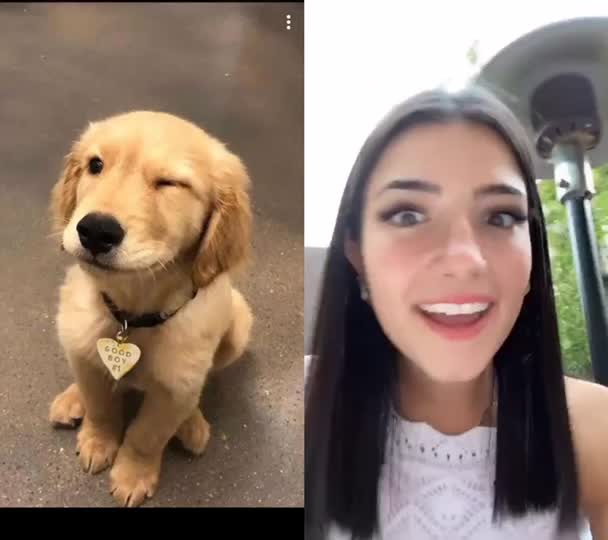 @jesuisunchienlol