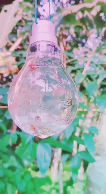 @s_a_n_i_l m_o_n p_o_