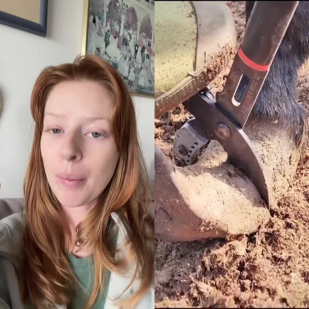 @hdudysvj