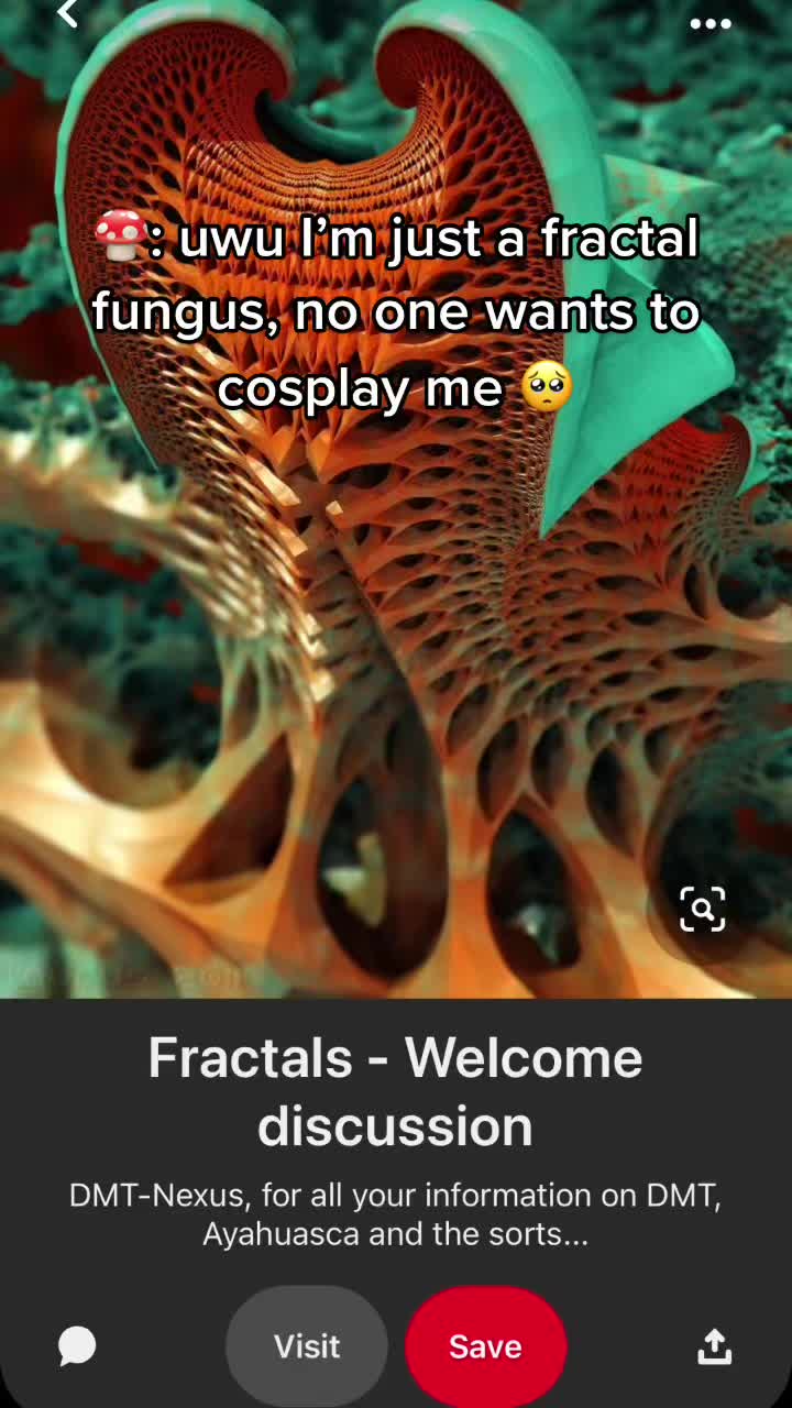 @Tucara