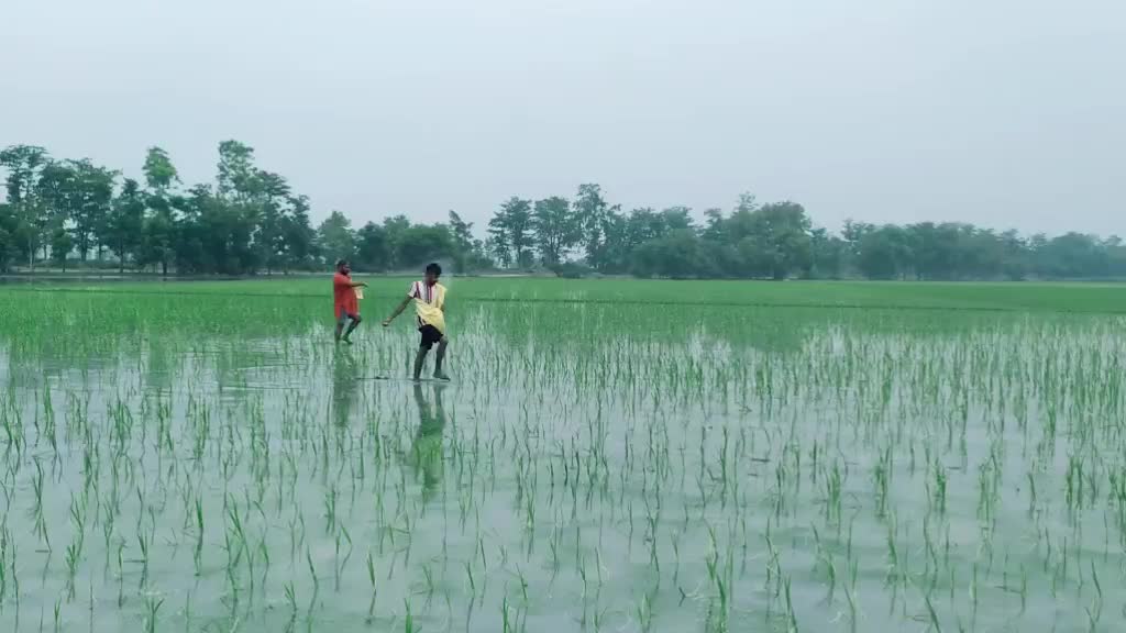 @madahar002