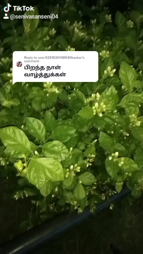 @Senivasan Seni