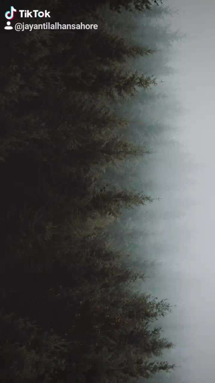 @🄼🅁__🅅🄰🄻🄼🄸🄺🄸