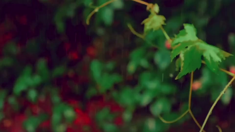 @Dj shashikant🎧