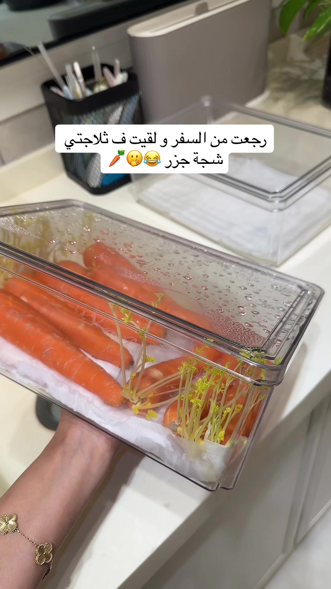 @هاي أنا فاطمة بارفعه 🙋🏻&zwj;♀️