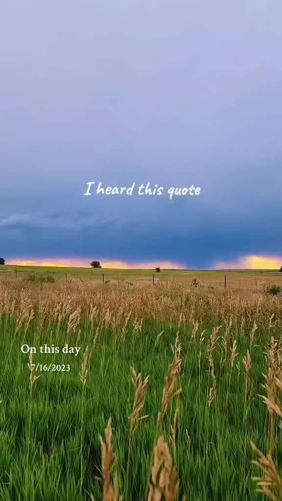 @Last Chapter
