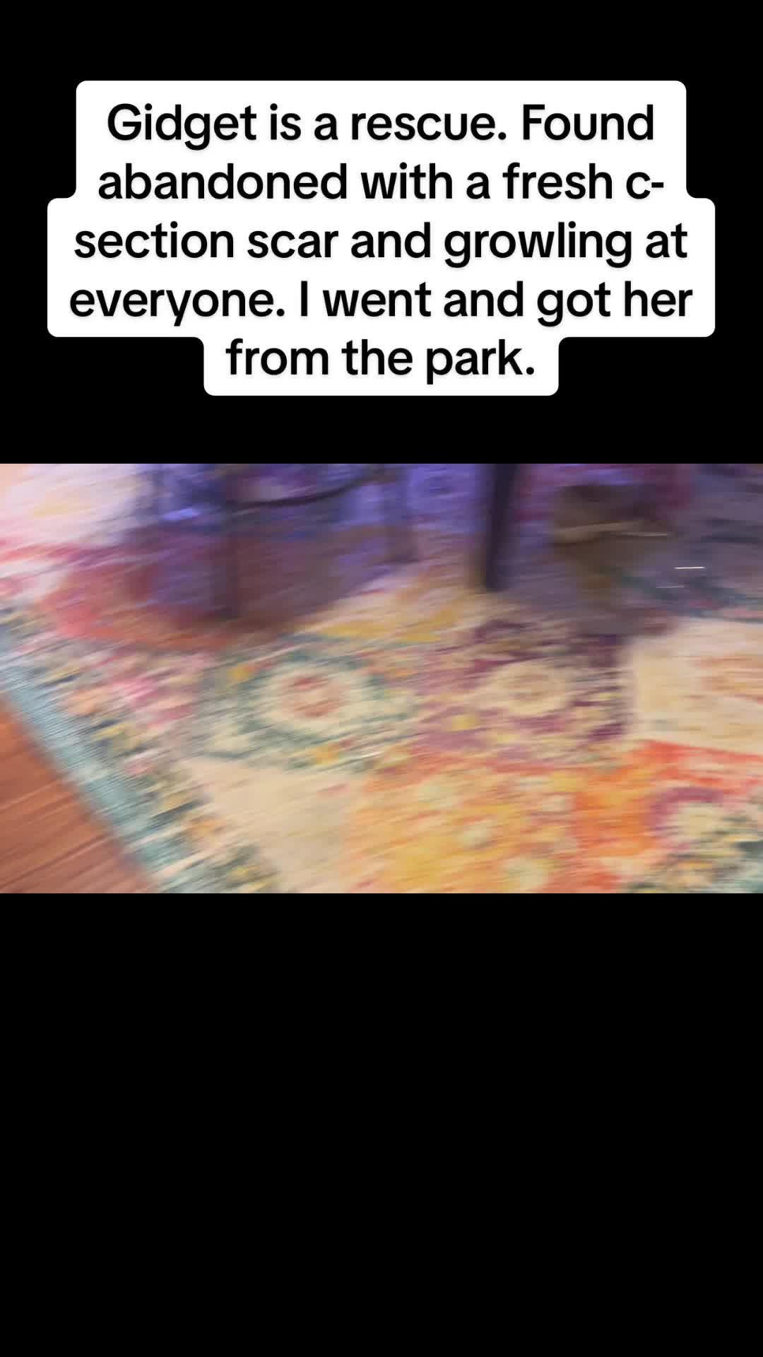@Mandavee