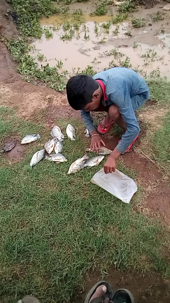 @Sagar Dahariya