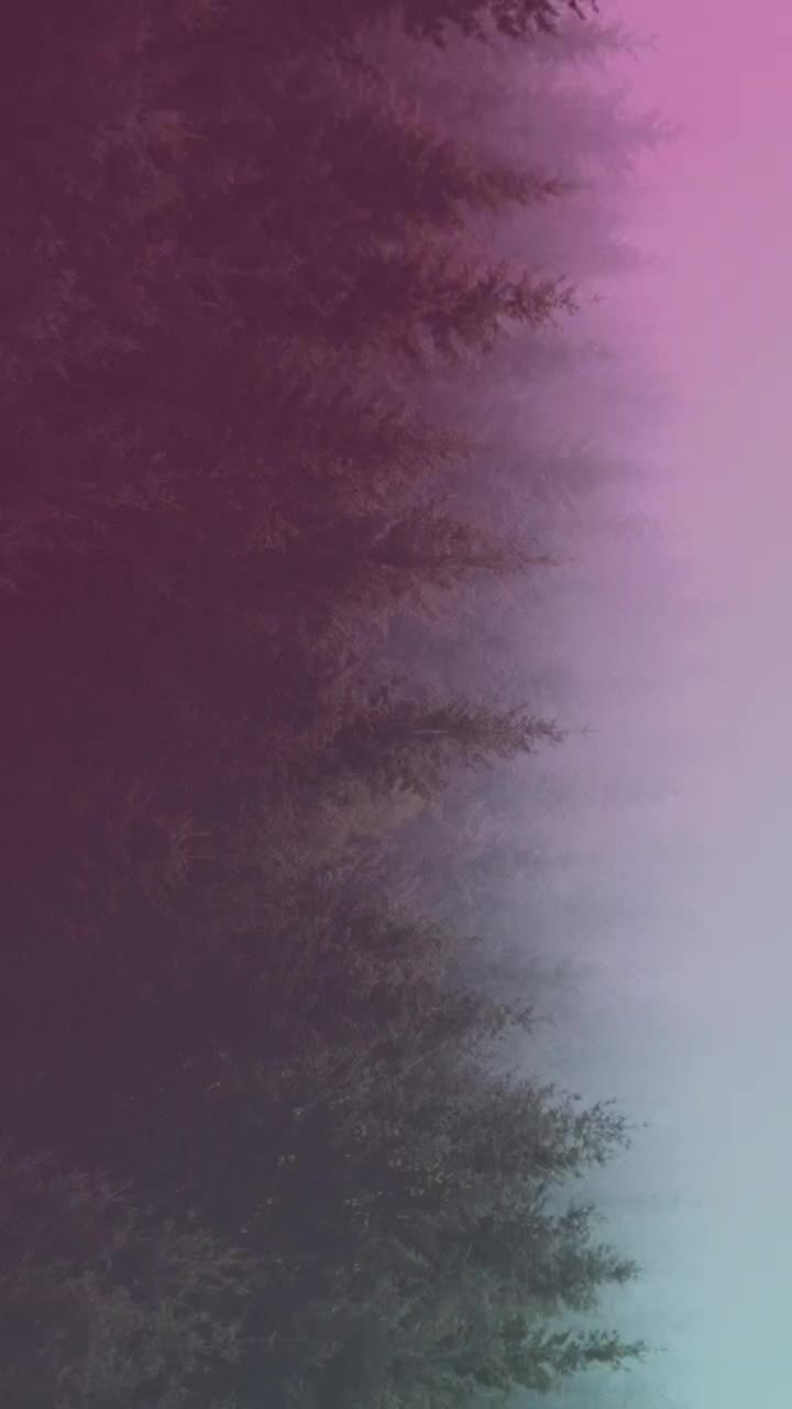 @sad_boy_chhabi23