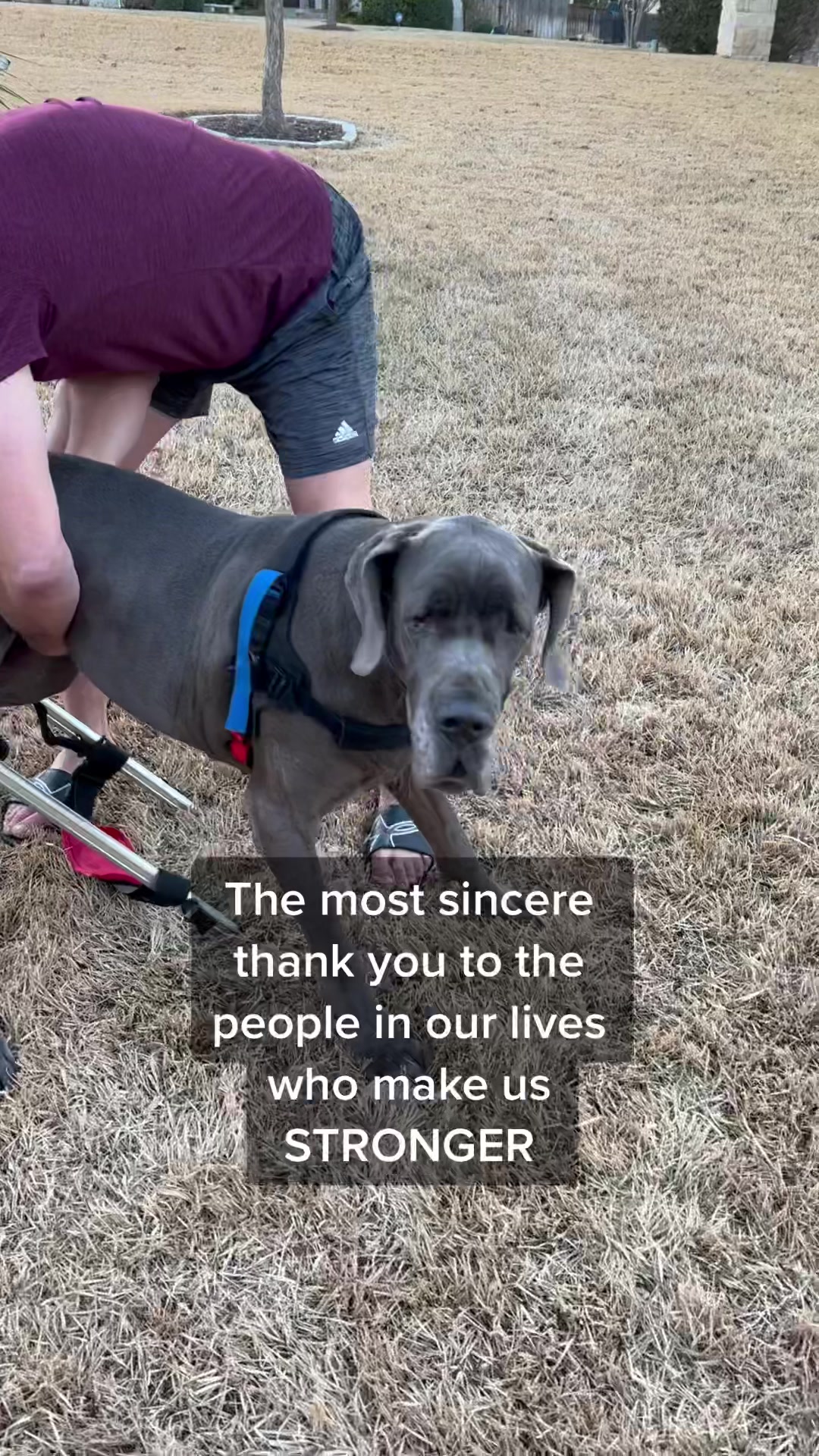 @Calliope & Athena Bleu