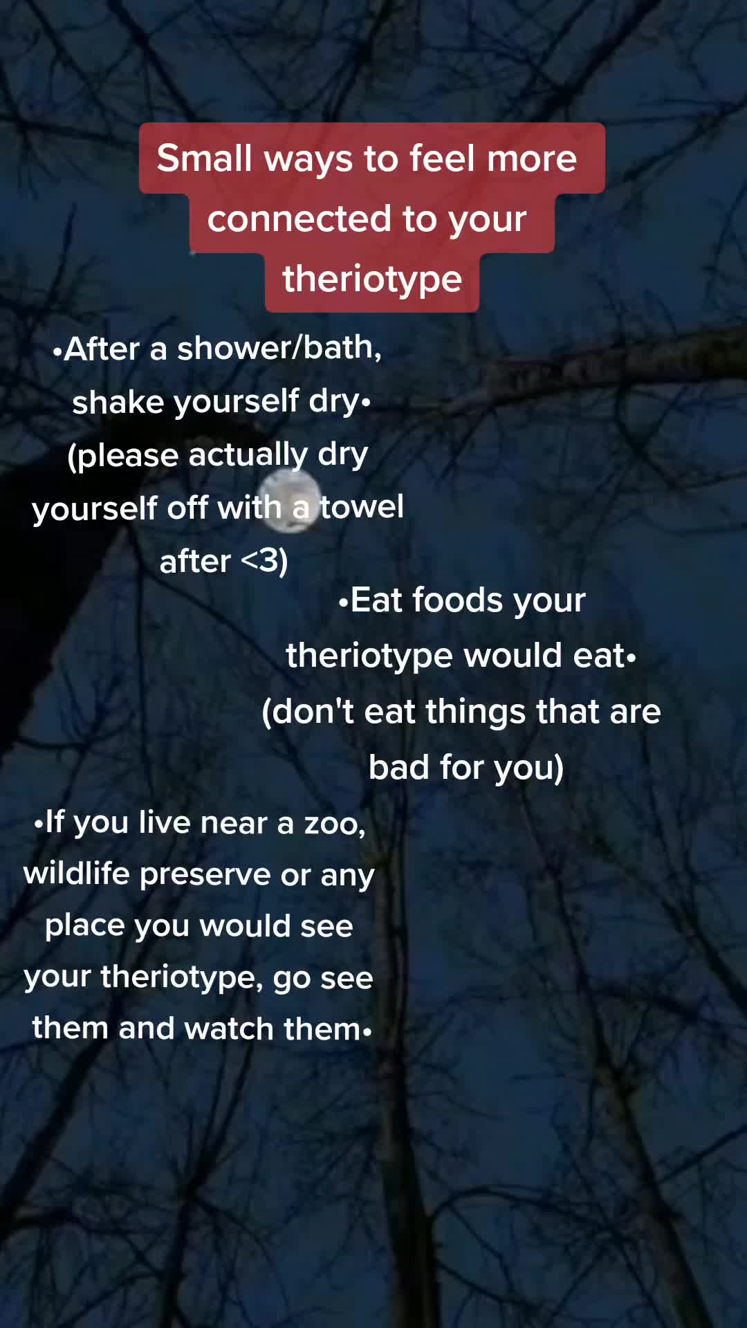 @🌟