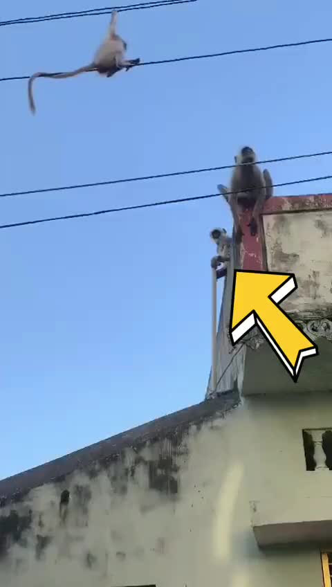 @dilip kotaprolu