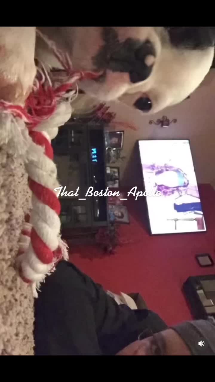 @That_Boston_Apollo
