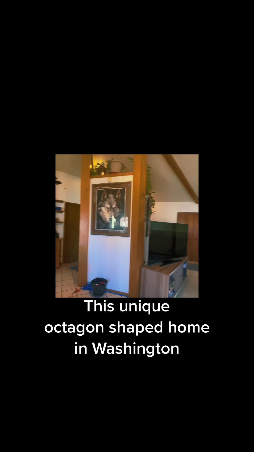 @realtyonegonecoastal930