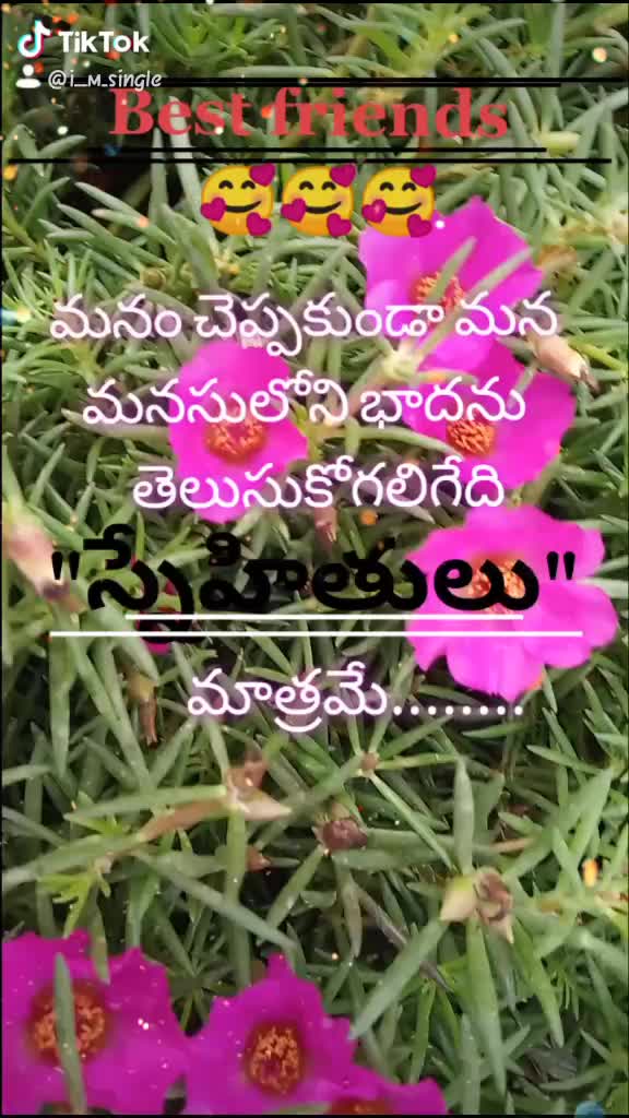 @@శైలు...యాదవ్. .....💞