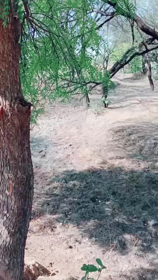 @vishnukumar