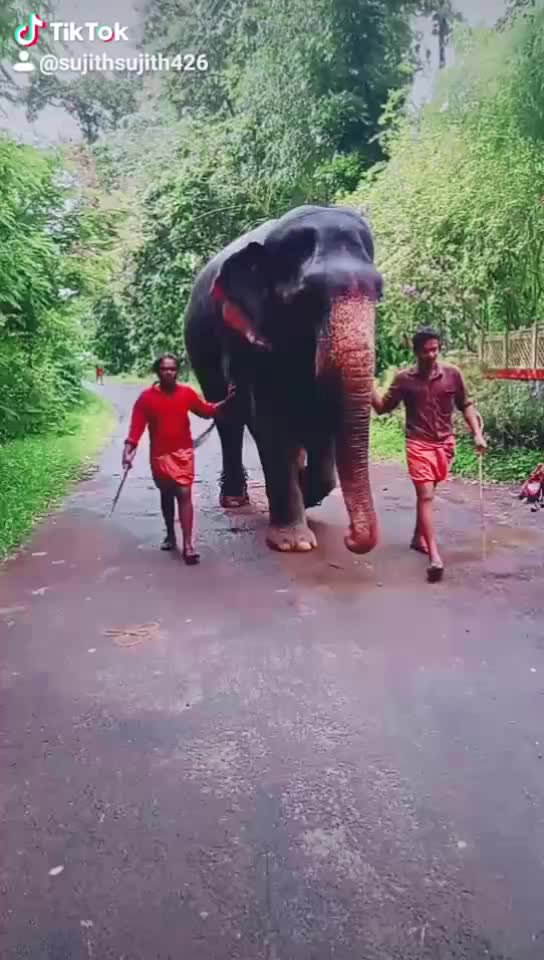 @sujith babu