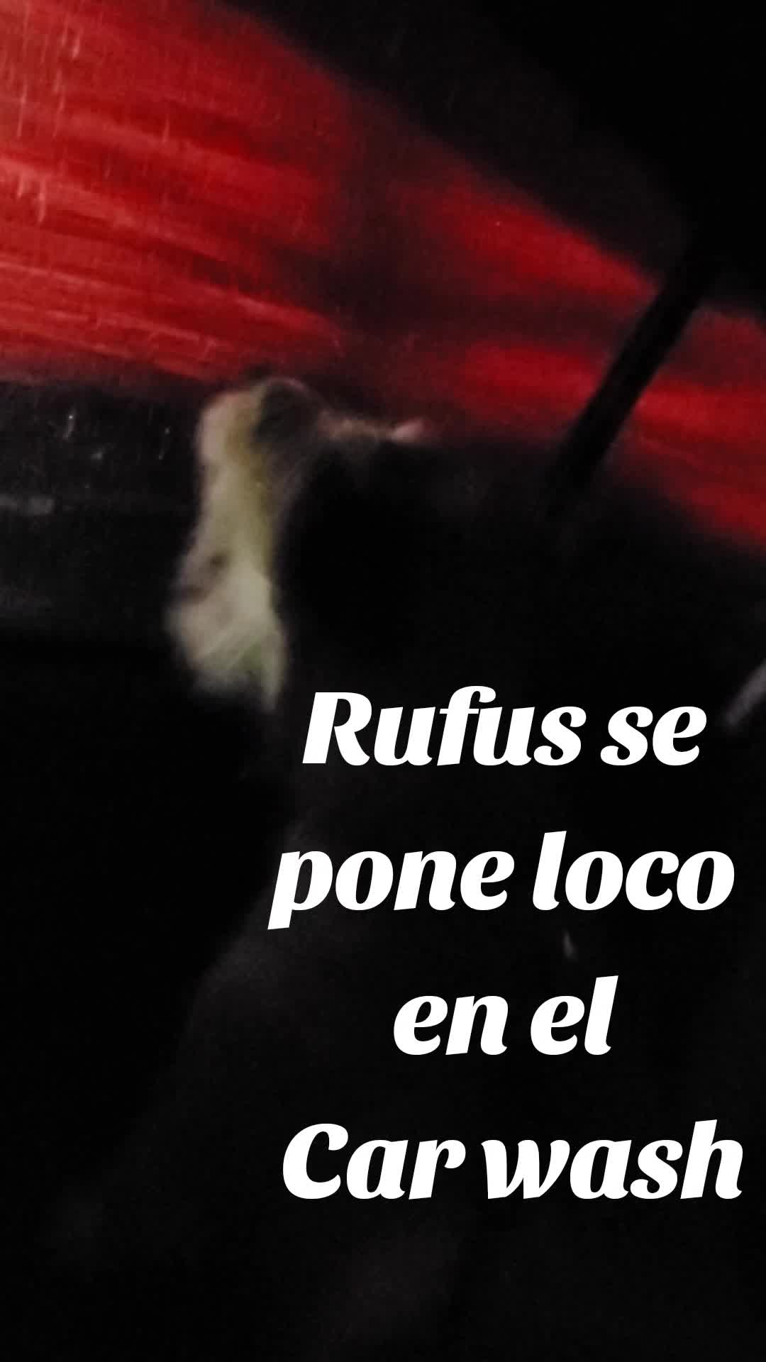 @Rufus007