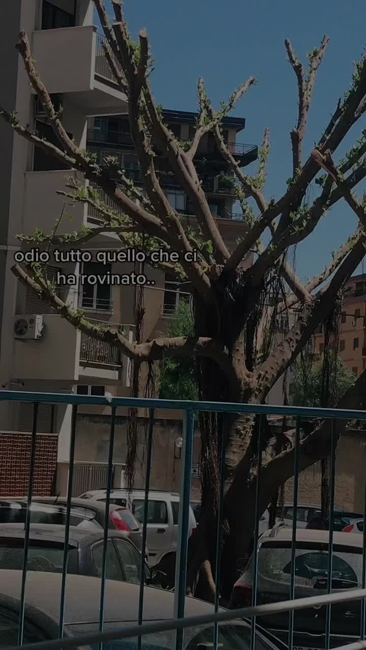 @user17282979228
