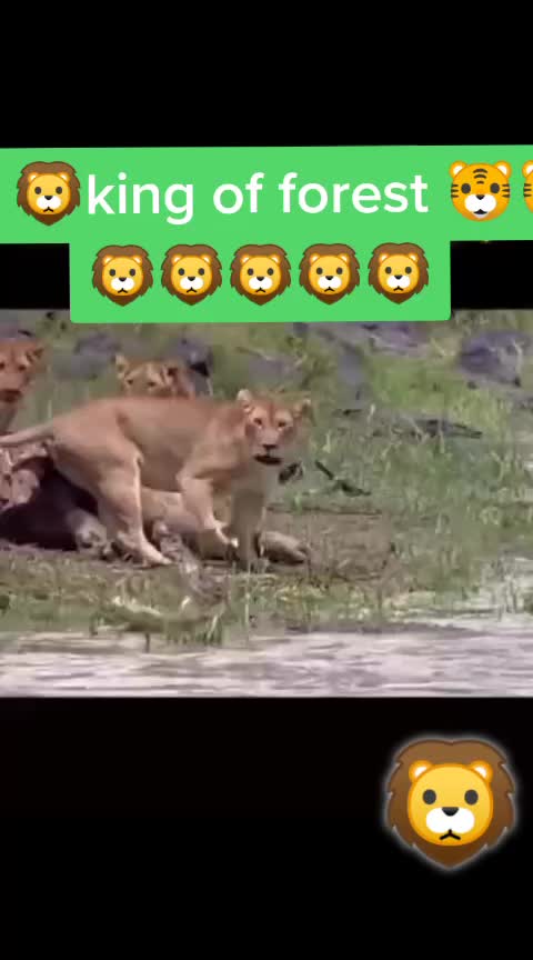 @🌹🌺शिवांश हु मैं 🔱
