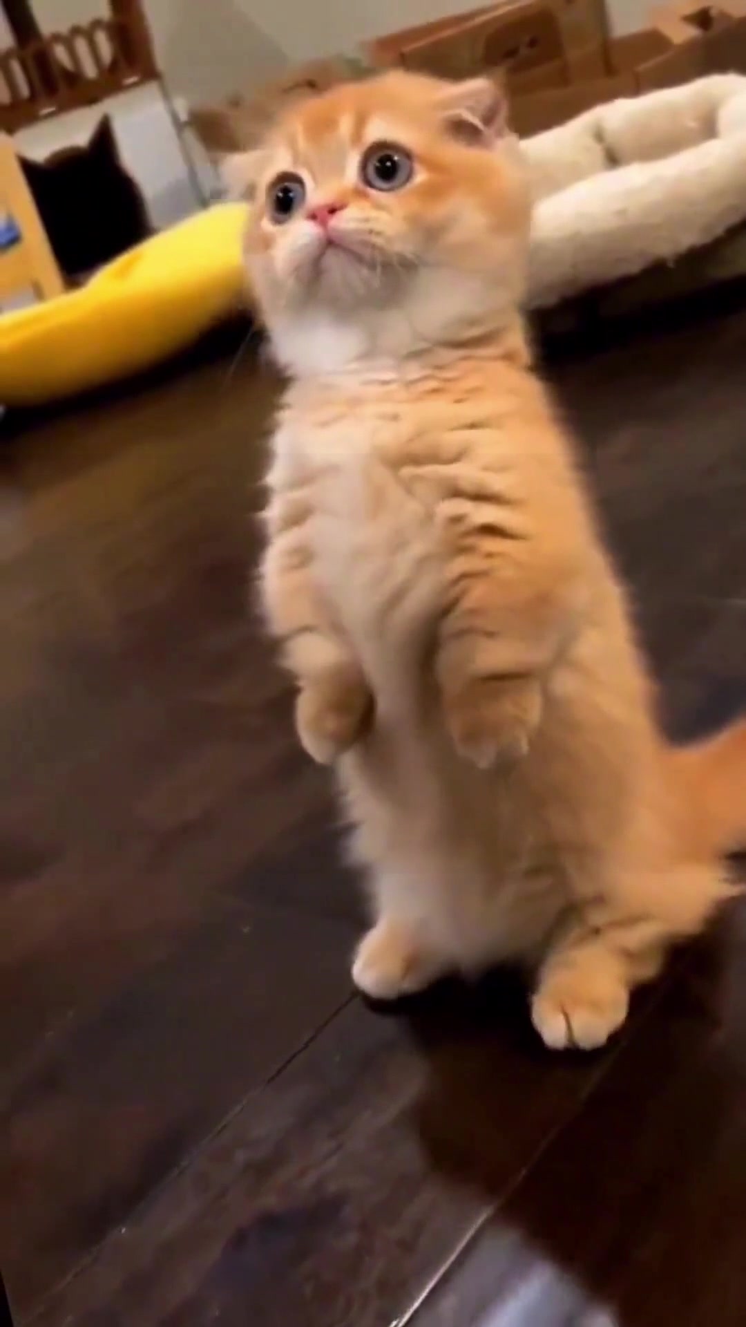 @dfhdhhd22